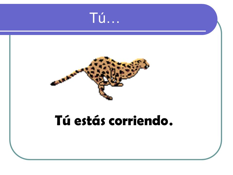 Tú… El bebé está llorando. No está contento. Está triste.