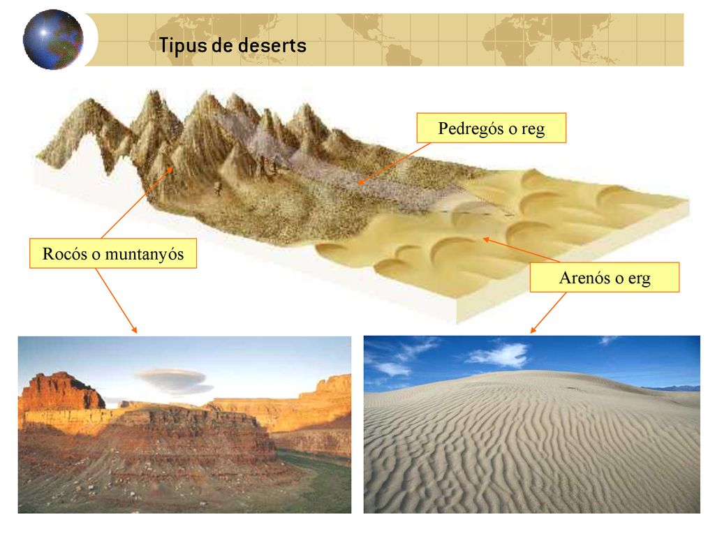 Tipus de deserts Pedregós o reg Rocós o muntanyós Arenós o erg