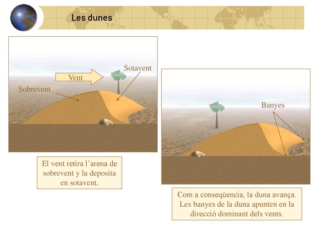 El vent retira l’arena de sobrevent y la deposita en sotavent.