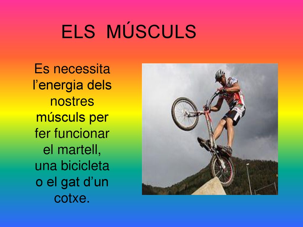 ELS MÚSCULS Es necessita l’energia dels nostres músculs per fer funcionar el martell, una bicicleta o el gat d’un cotxe.