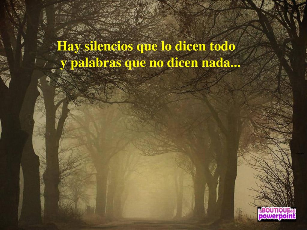 Hay silencios que lo dicen todo y palabras que no dicen nada...