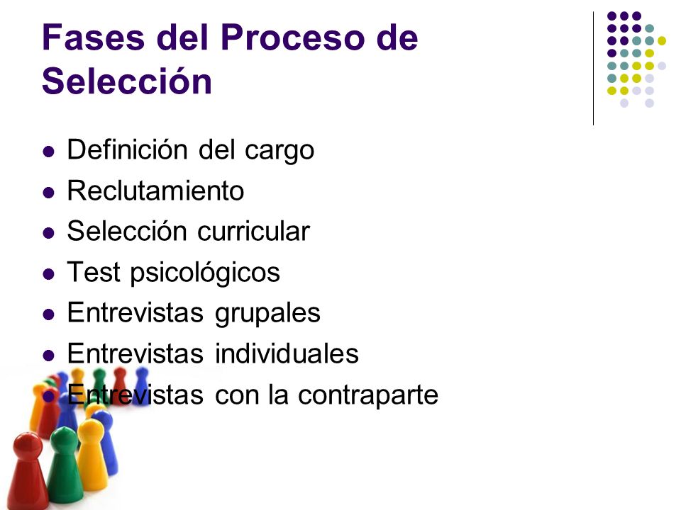 Fases del Proceso de Selección