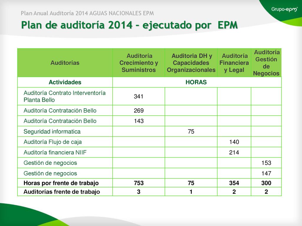Plan de auditoría 2014 – ejecutado por EPM