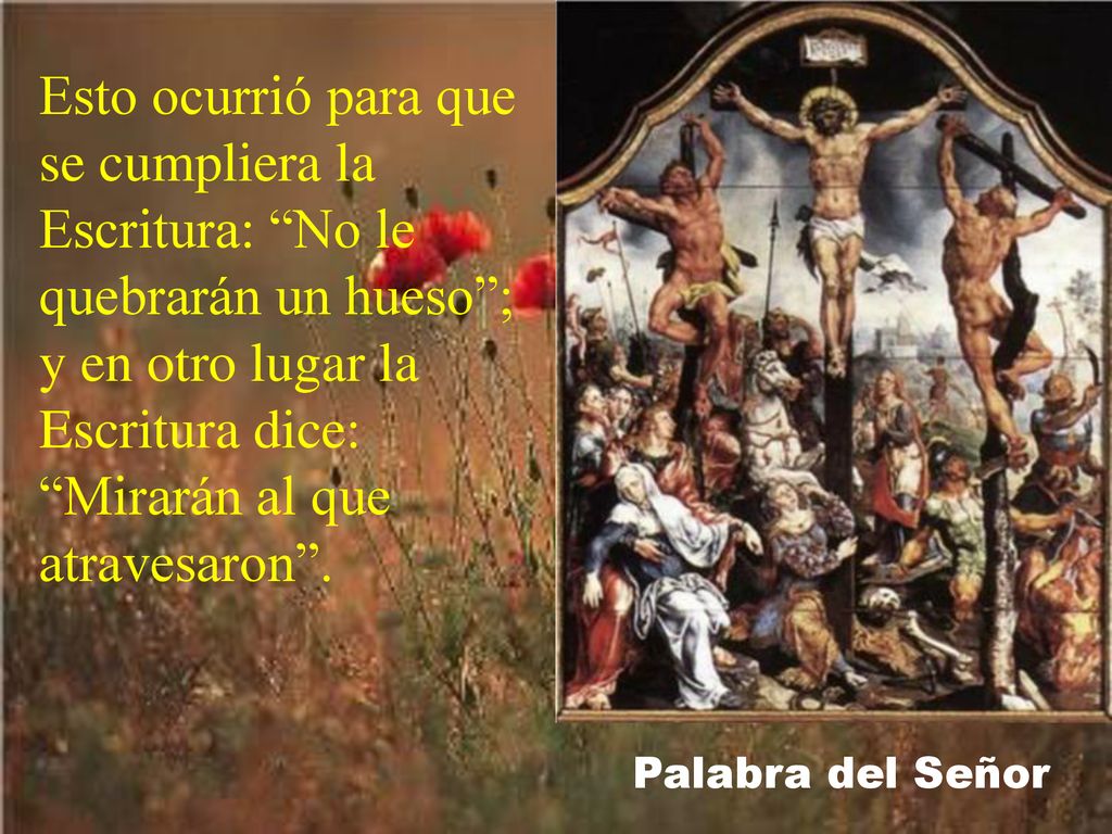 Esto ocurrió para que se cumpliera la Escritura: No le quebrarán un hueso ; y en otro lugar la Escritura dice: Mirarán al que atravesaron .