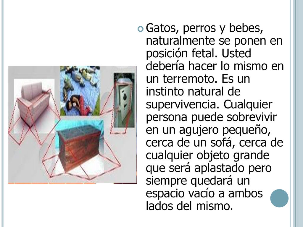 Gatos, perros y bebes, naturalmente se ponen en posición fetal