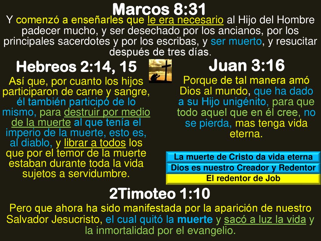 La muerte de Cristo da vida eterna Dios es nuestro Creador y Redentor
