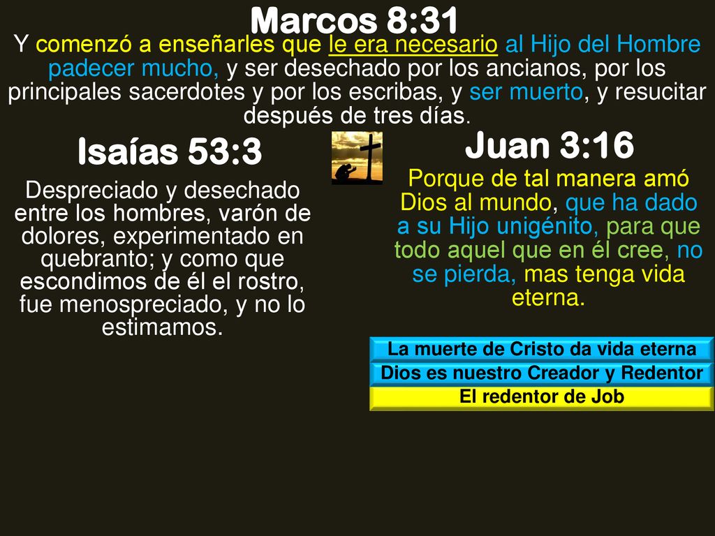 La muerte de Cristo da vida eterna Dios es nuestro Creador y Redentor
