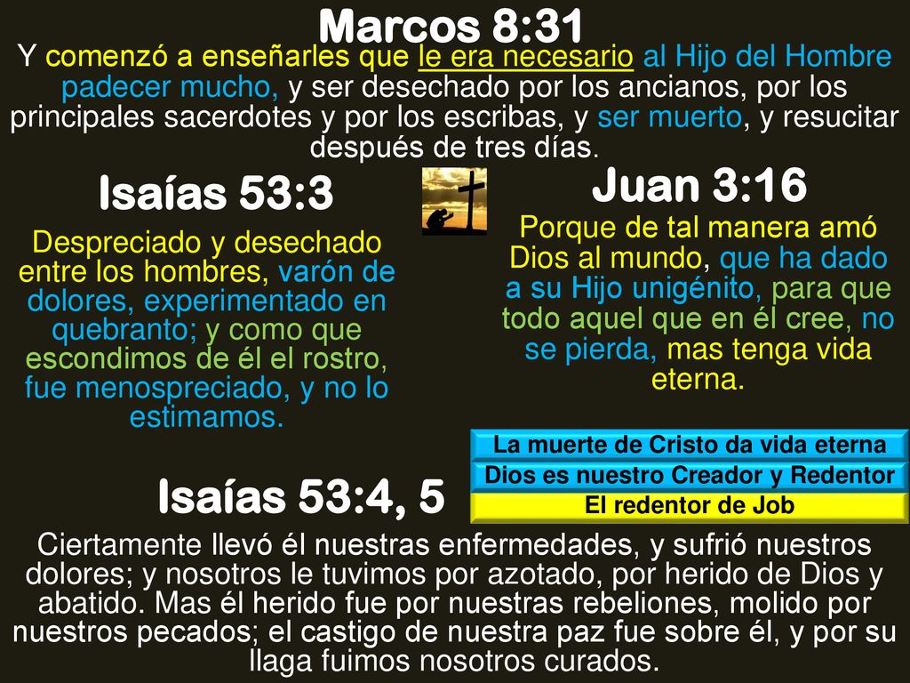 La muerte de Cristo da vida eterna Dios es nuestro Creador y Redentor