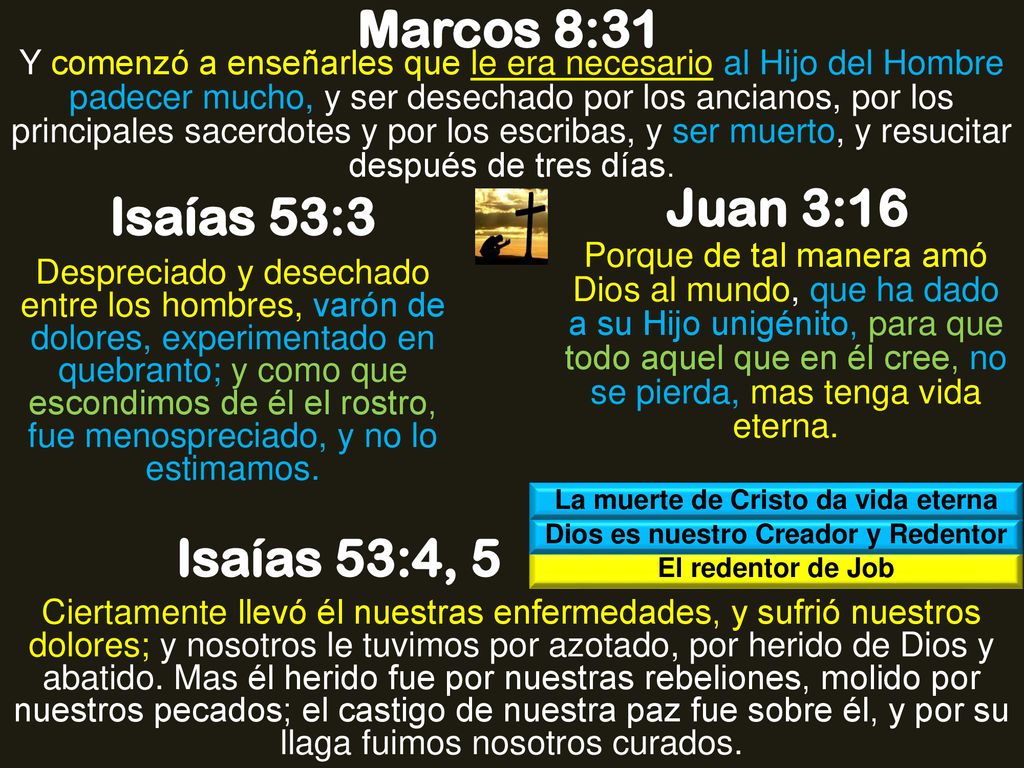La muerte de Cristo da vida eterna Dios es nuestro Creador y Redentor