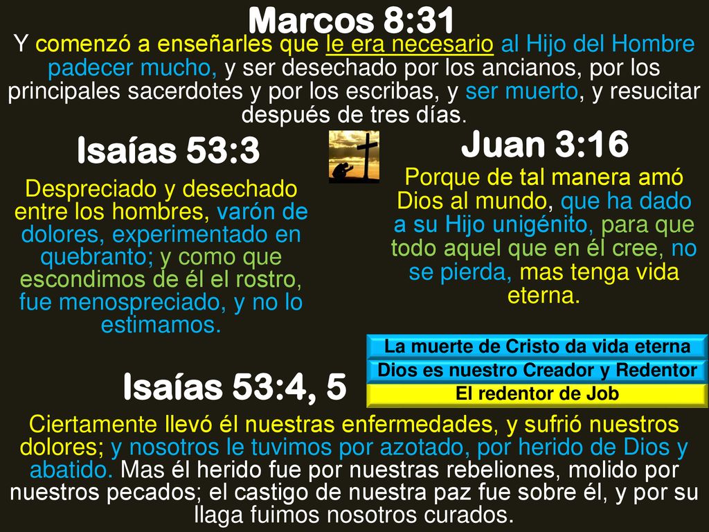 La muerte de Cristo da vida eterna Dios es nuestro Creador y Redentor