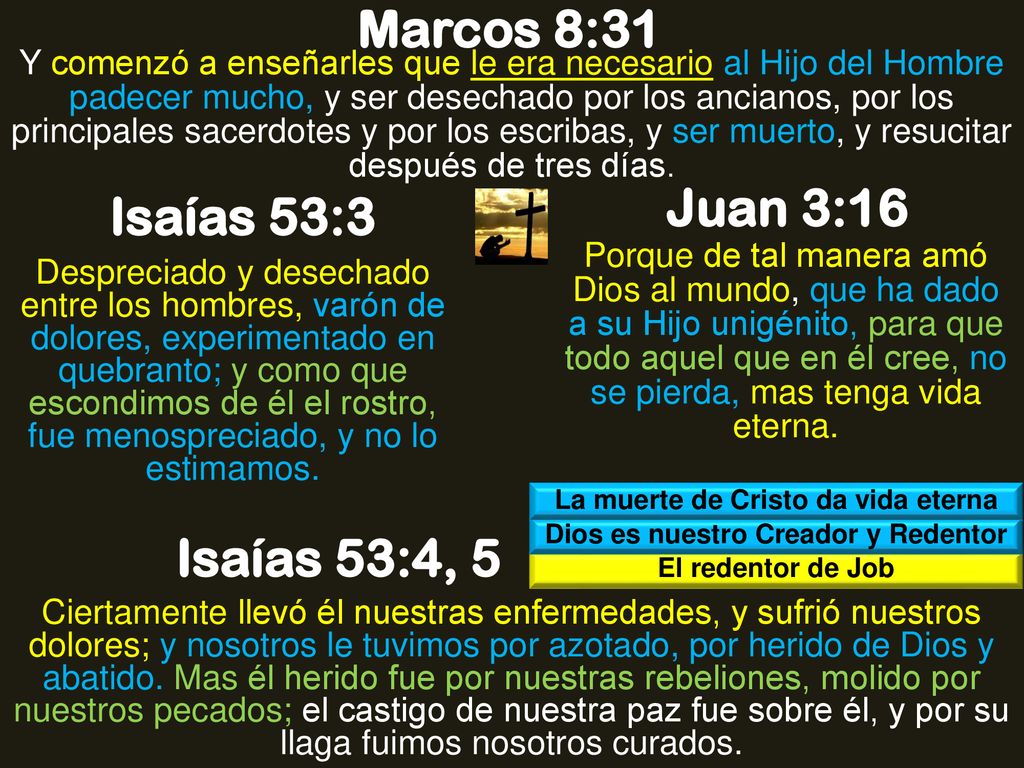 La muerte de Cristo da vida eterna Dios es nuestro Creador y Redentor