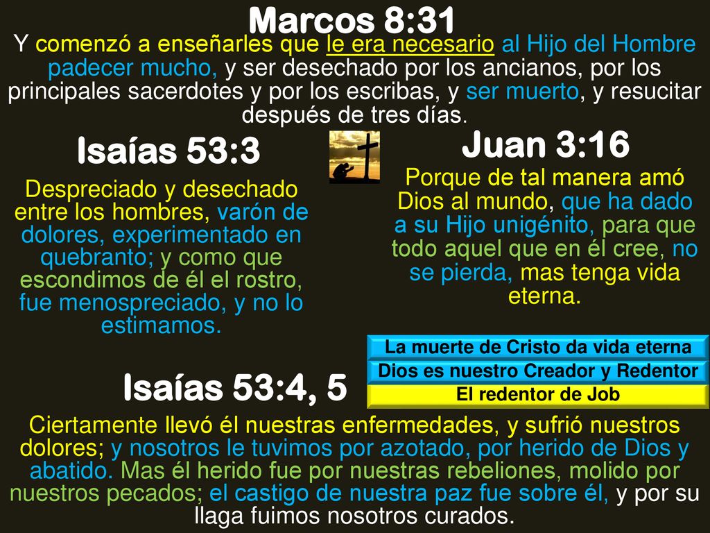 La muerte de Cristo da vida eterna Dios es nuestro Creador y Redentor