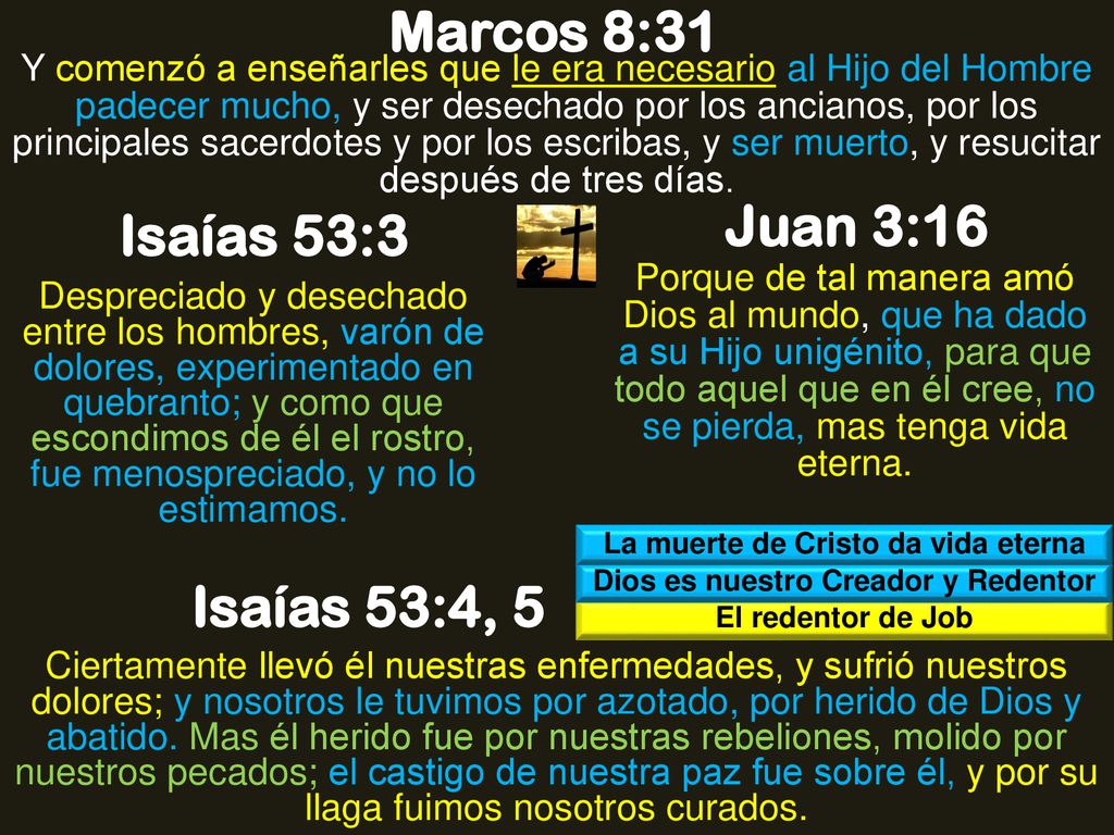 La muerte de Cristo da vida eterna Dios es nuestro Creador y Redentor