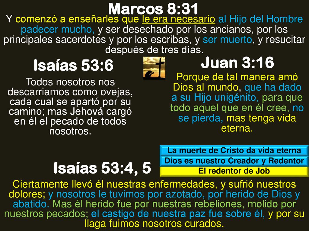 La muerte de Cristo da vida eterna Dios es nuestro Creador y Redentor