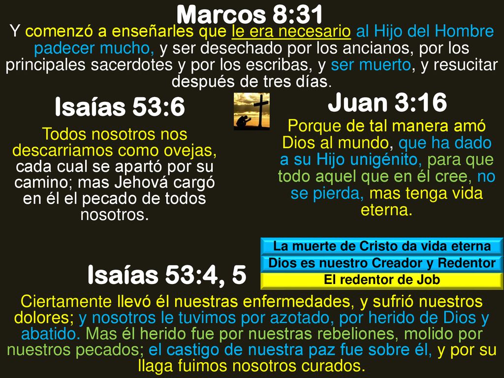 La muerte de Cristo da vida eterna Dios es nuestro Creador y Redentor