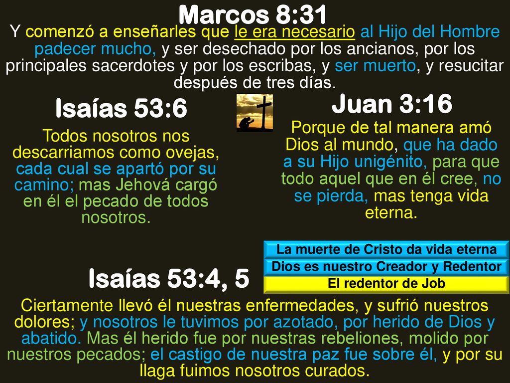 La muerte de Cristo da vida eterna Dios es nuestro Creador y Redentor