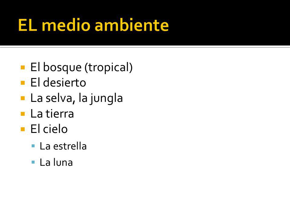 EL medio ambiente El bosque (tropical) El desierto La selva, la jungla