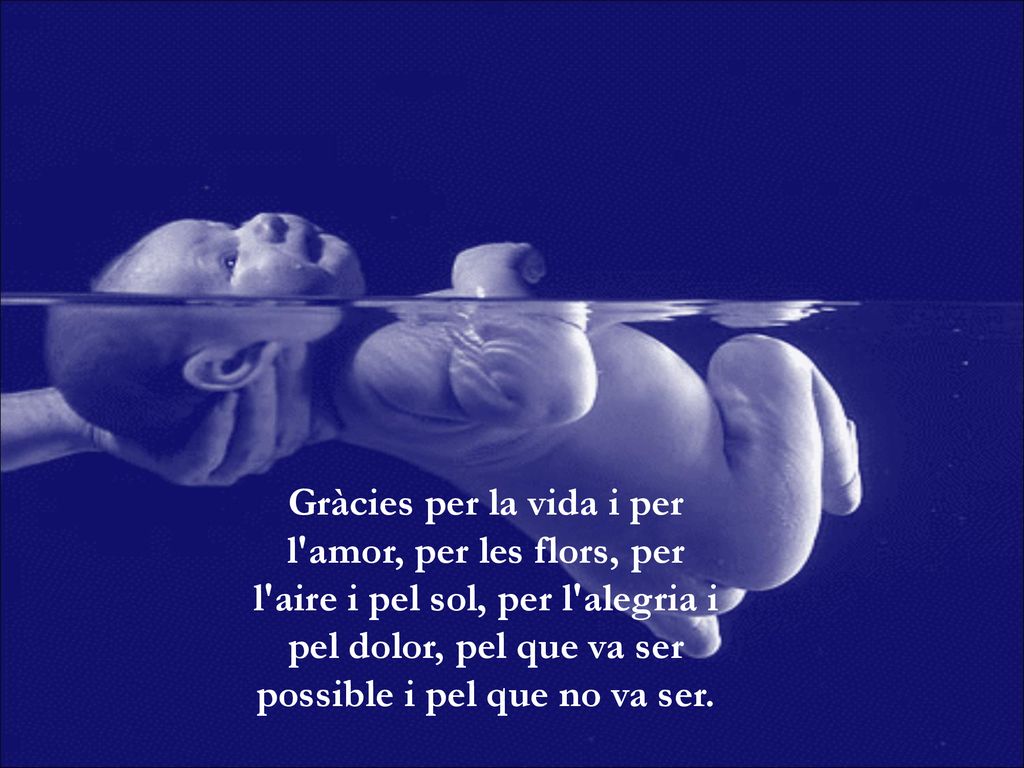 Gràcies per la vida i per l amor, per les flors, per l aire i pel sol, per l alegria i pel dolor, pel que va ser possible i pel que no va ser.
