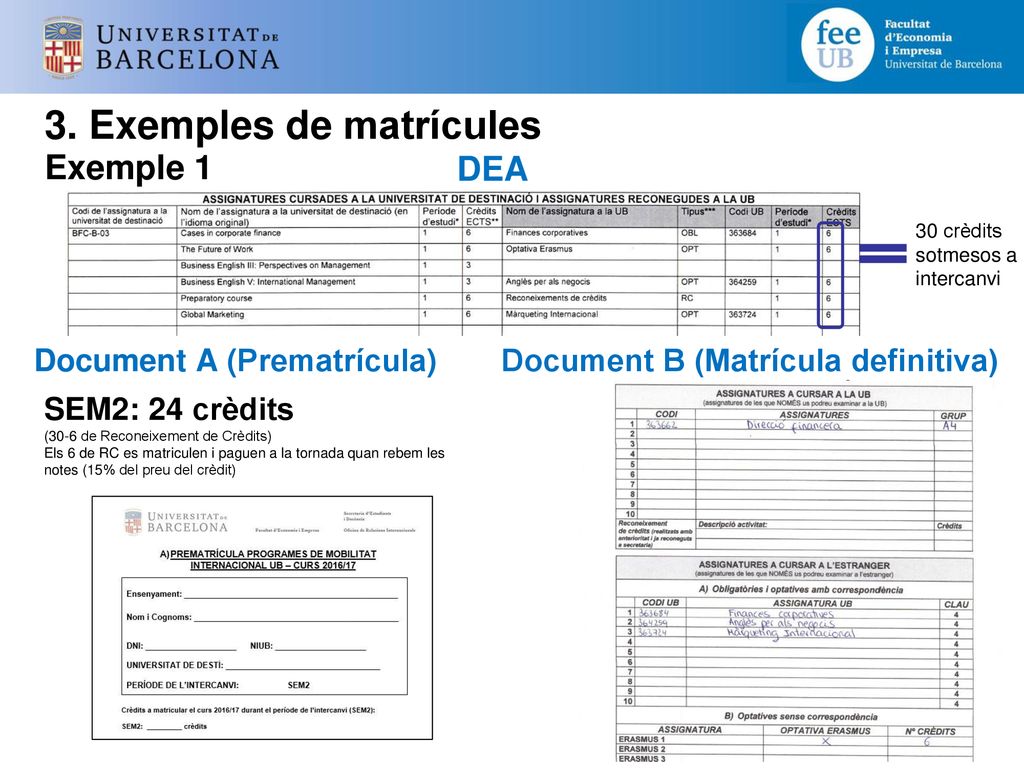 3. Exemples de matrícules