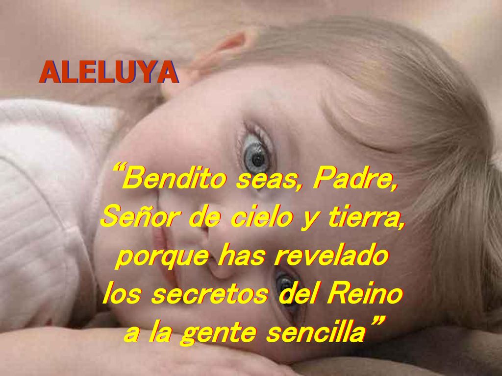 Bendito seas, Padre, Señor de cielo y tierra, porque has revelado