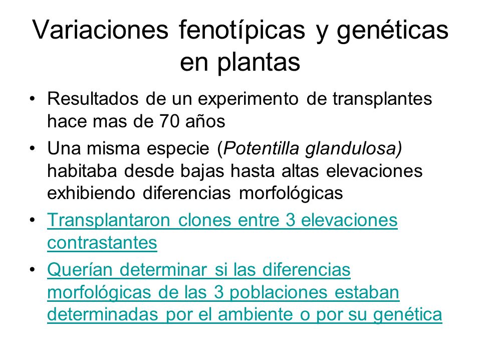 Variaciones fenotípicas y genéticas en plantas