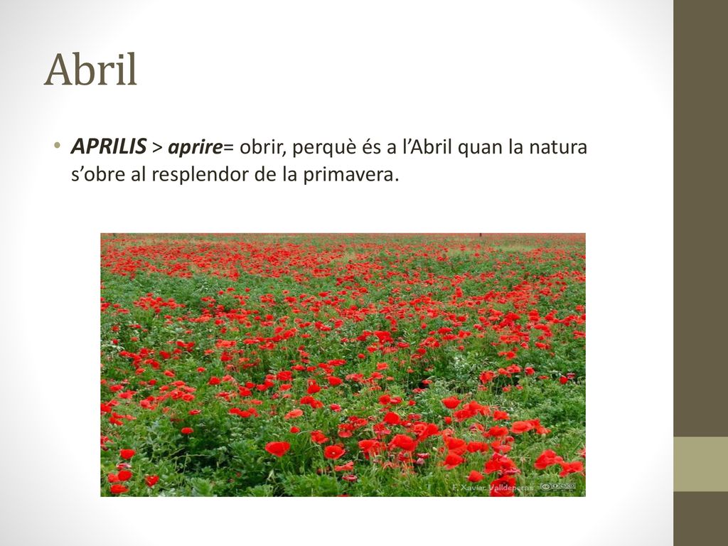 Abril APRILIS > aprire= obrir, perquè és a l’Abril quan la natura s’obre al resplendor de la primavera.