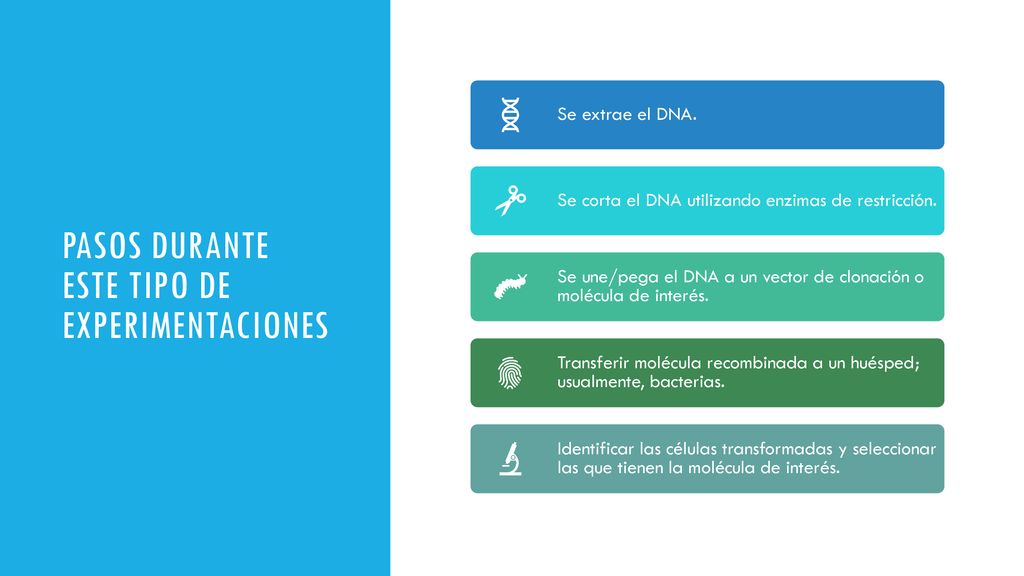 Pasos durante este tipo de experimentaciones