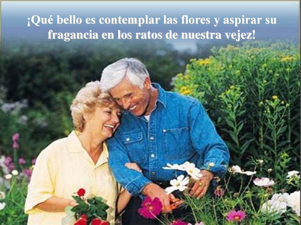 ¡Qué bello es contemplar las flores y aspirar su fragancia en los ratos de nuestra vejez!