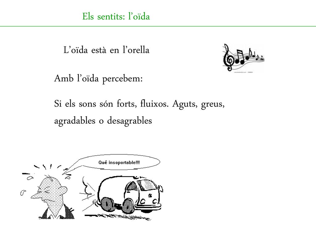 Els sentits: l’oïda L’oïda està en l’orella. Amb l’oïda percebem: Si els sons són forts, fluixos.