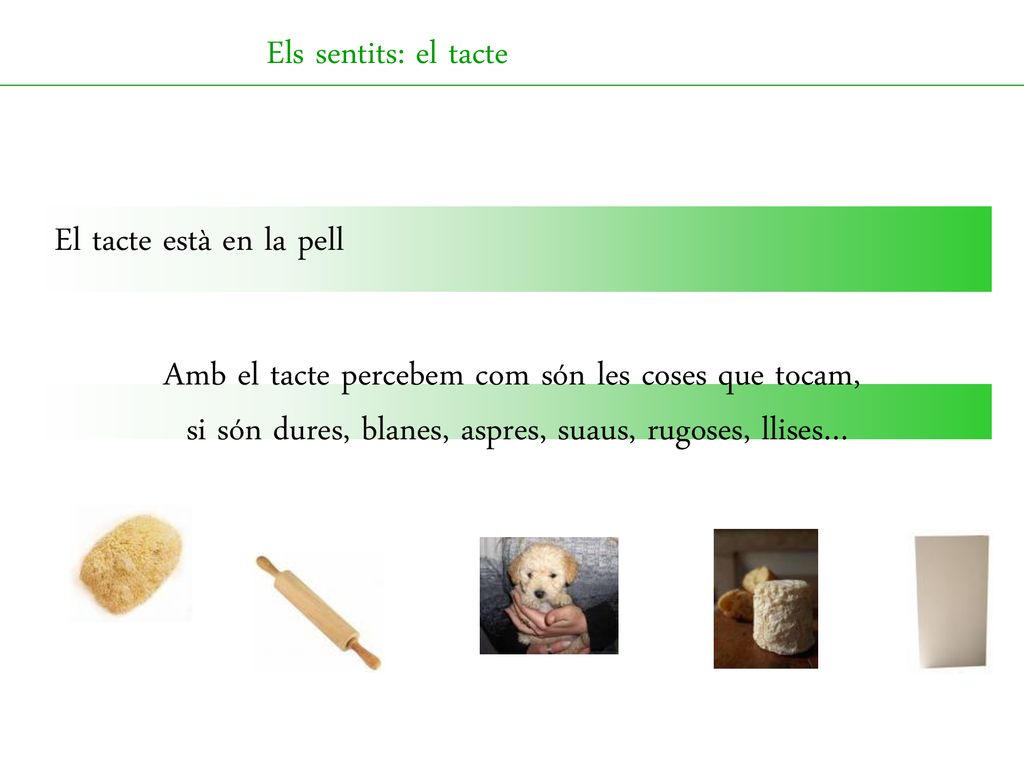 Amb el tacte percebem com són les coses que tocam,