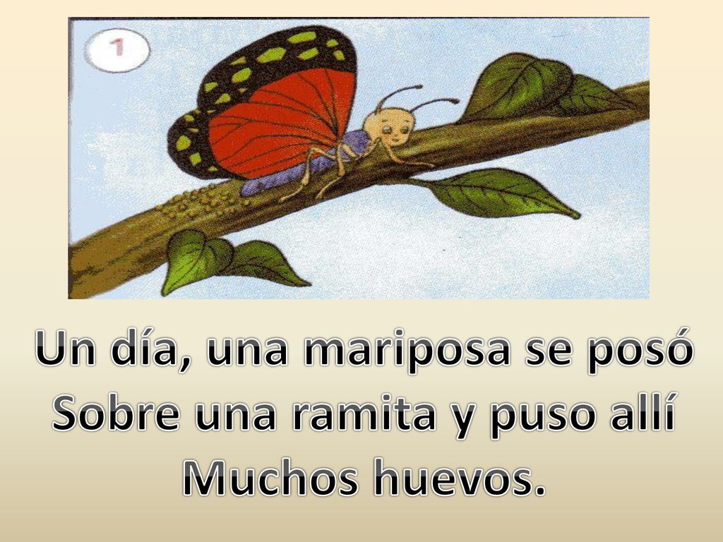 Un día, una mariposa se posó Sobre una ramita y puso allí