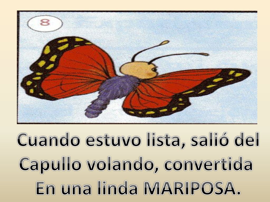 Cuando estuvo lista, salió del Capullo volando, convertida