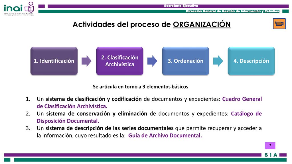 Actividades del proceso de ORGANIZACIÓN