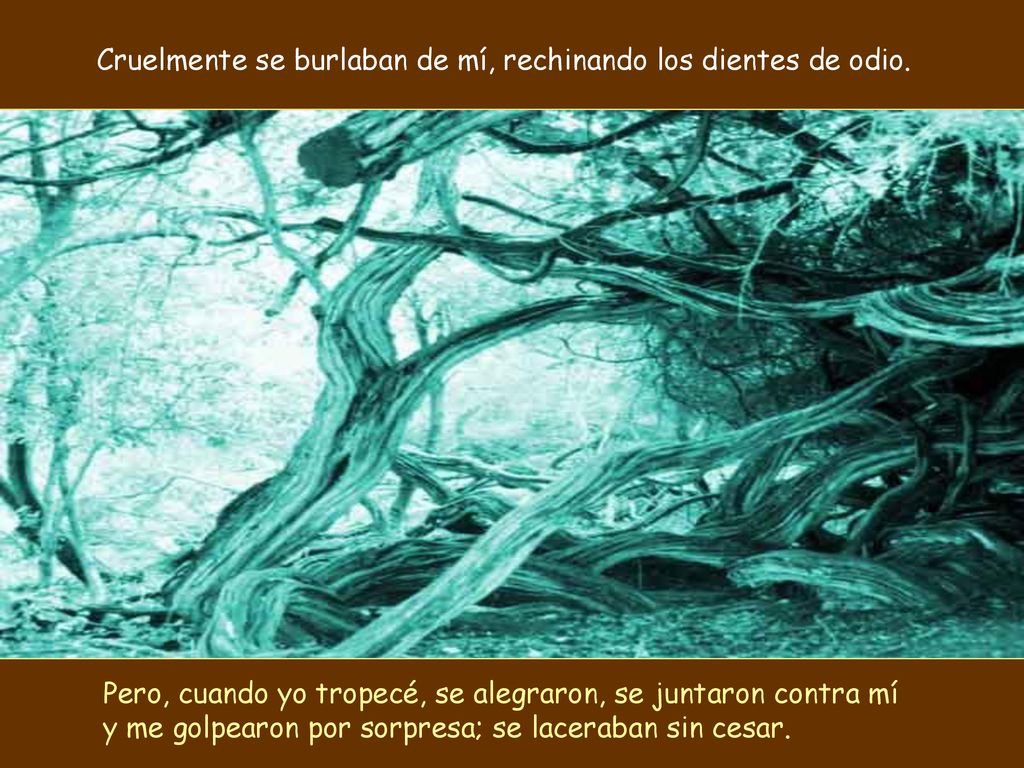 Cruelmente se burlaban de mí, rechinando los dientes de odio.