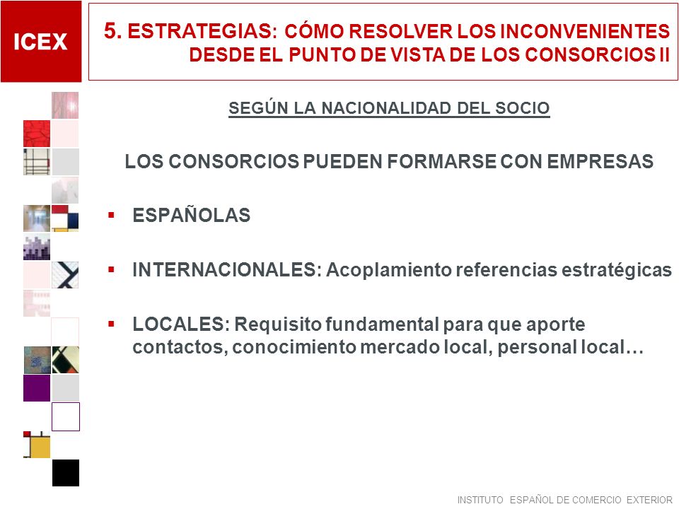 5. ESTRATEGIAS: CÓMO RESOLVER LOS INCONVENIENTES DESDE EL PUNTO DE VISTA DE LOS CONSORCIOS II