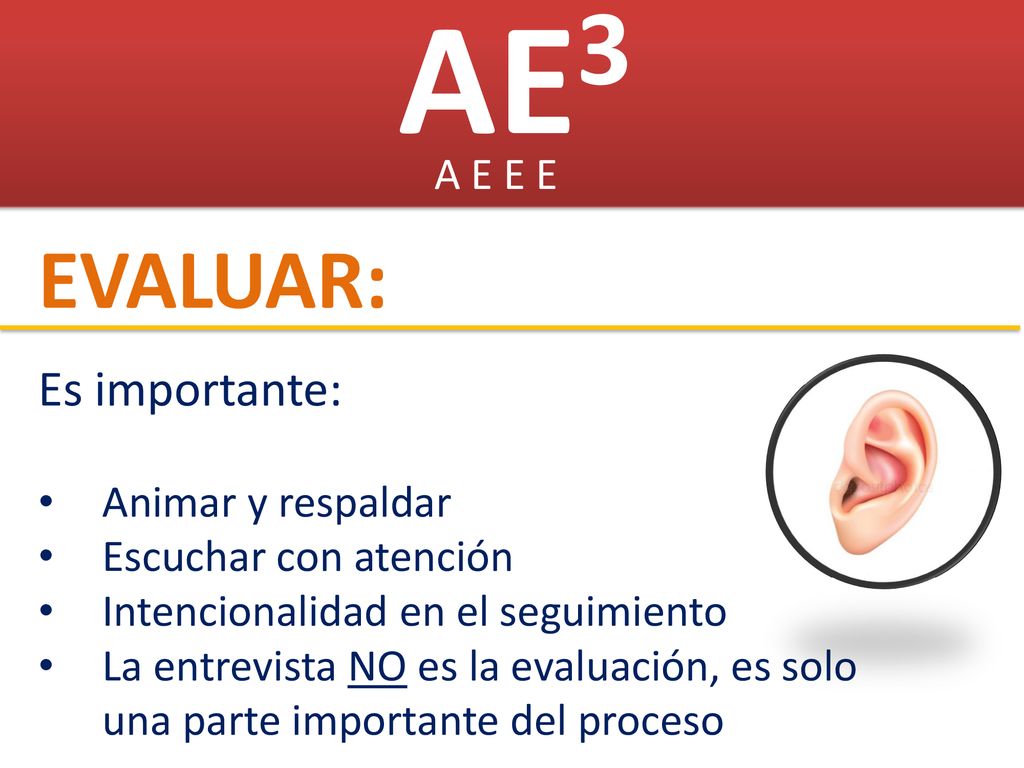 AE3 EVALUAR: Es importante: A E E E Animar y respaldar
