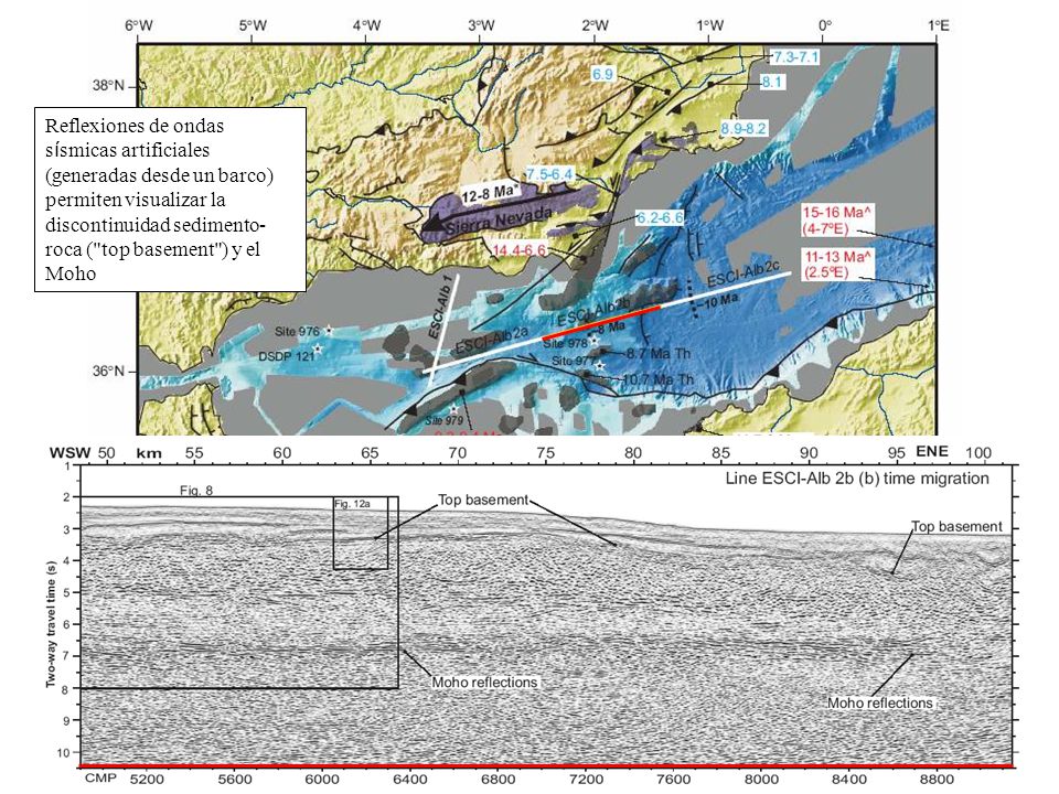 Reflexiones de ondas sísmicas artificiales (generadas desde un barco) permiten visualizar la discontinuidad sedimento-roca ( top basement ) y el Moho