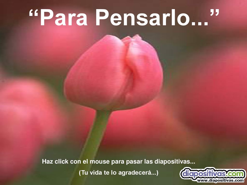 Para Pensarlo... Haz click con el mouse para pasar las diapositivas...