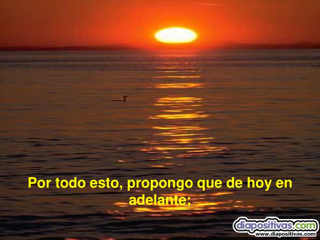 Por todo esto, propongo que de hoy en adelante;