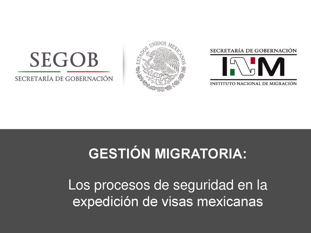 Los procesos de seguridad en la expedición de visas mexicanas
