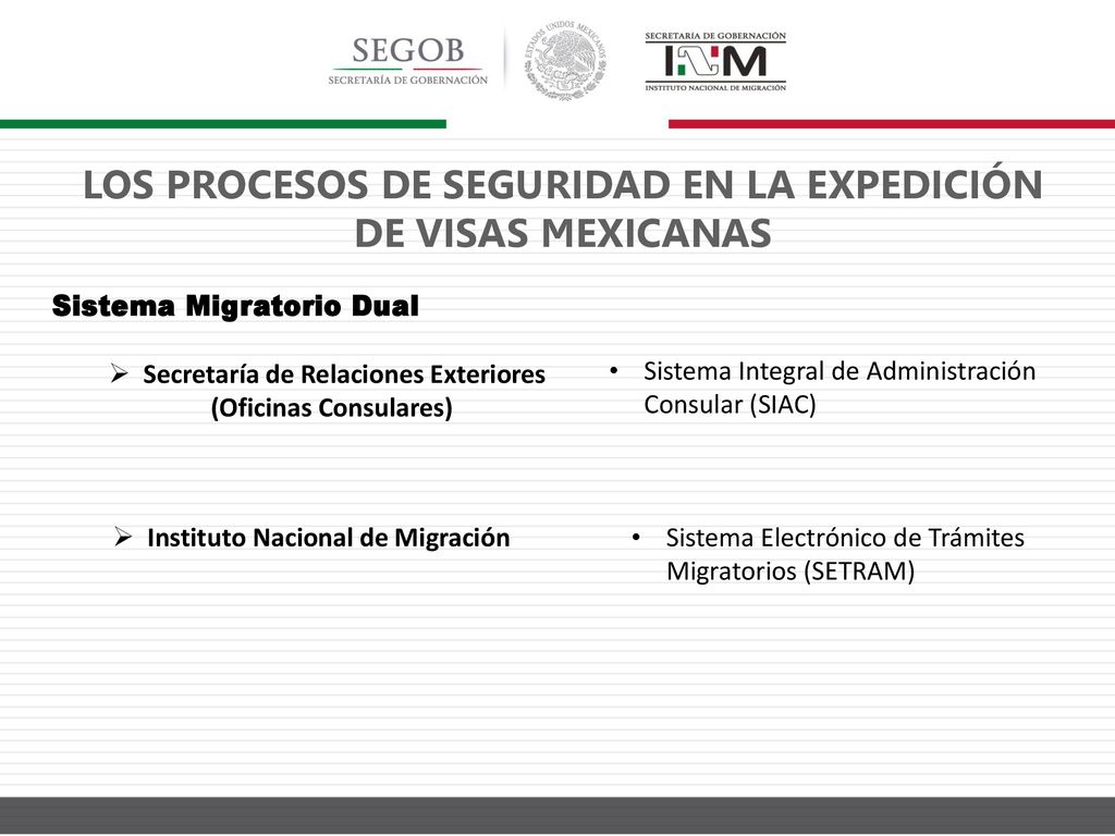 LOS PROCESOS DE SEGURIDAD EN LA EXPEDICIÓN DE VISAS MEXICANAS
