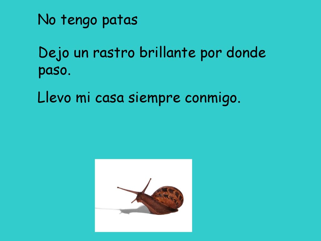No tengo patas Dejo un rastro brillante por donde paso. Llevo mi casa siempre conmigo.