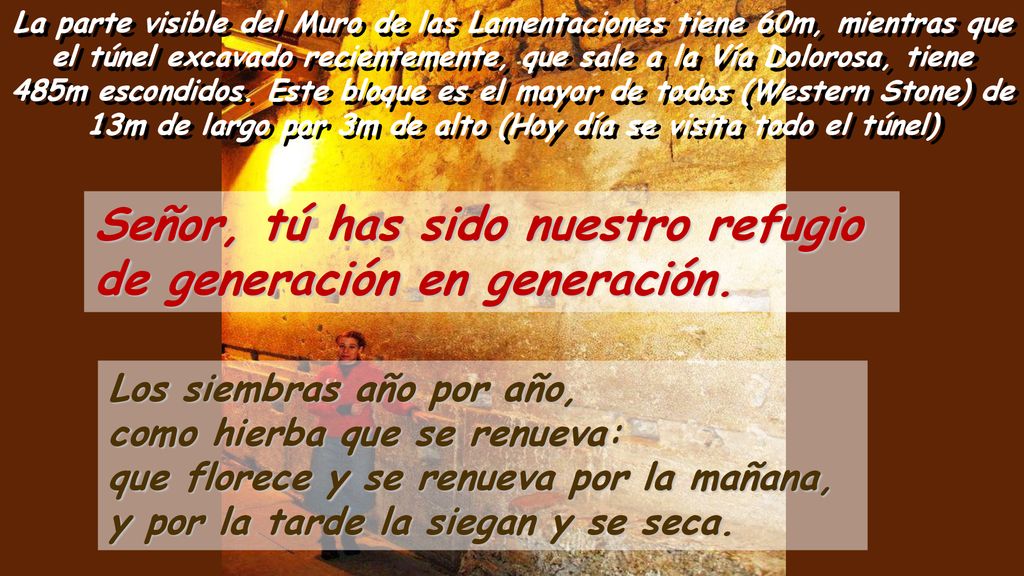 Señor, tú has sido nuestro refugio de generación en generación.