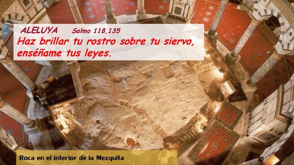 Haz brillar tu rostro sobre tu siervo, enséñame tus leyes.