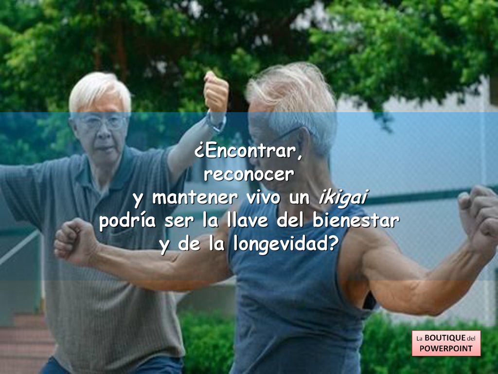 y mantener vivo un ikigai podría ser la llave del bienestar