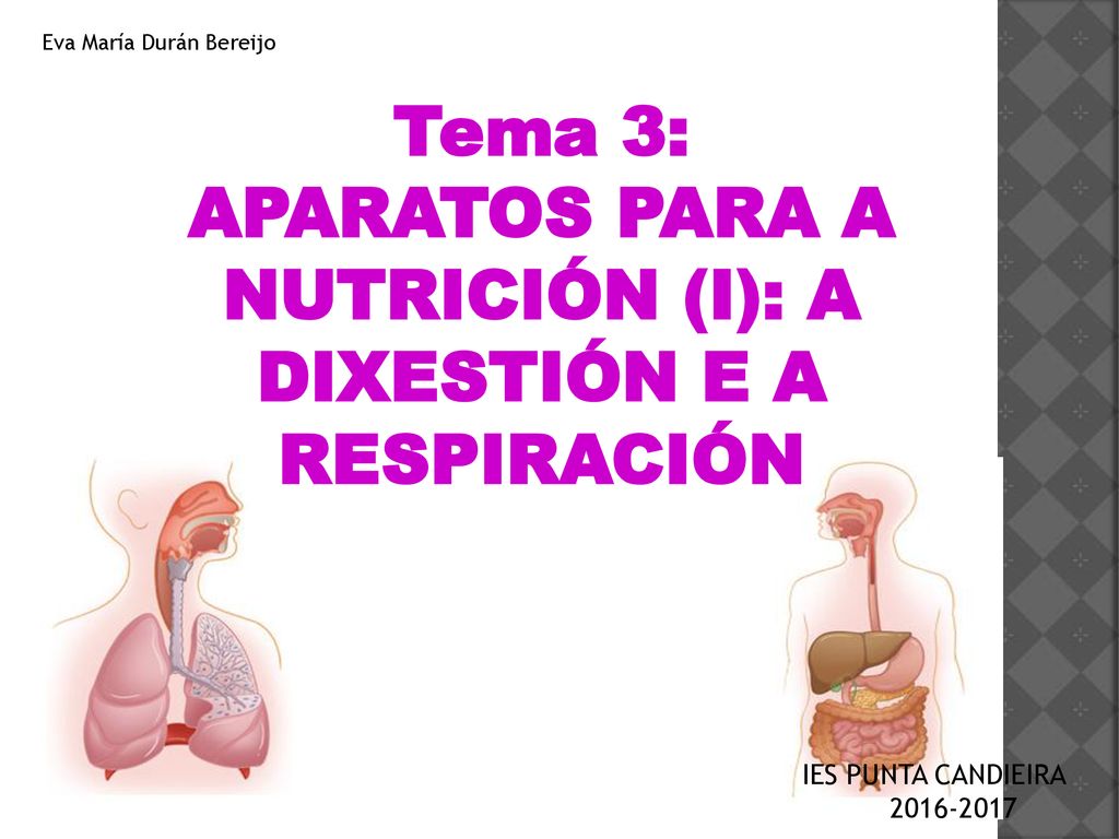 APARATOS PARA A NUTRICIÓN (I): A DIXESTIÓN E A RESPIRACIÓN