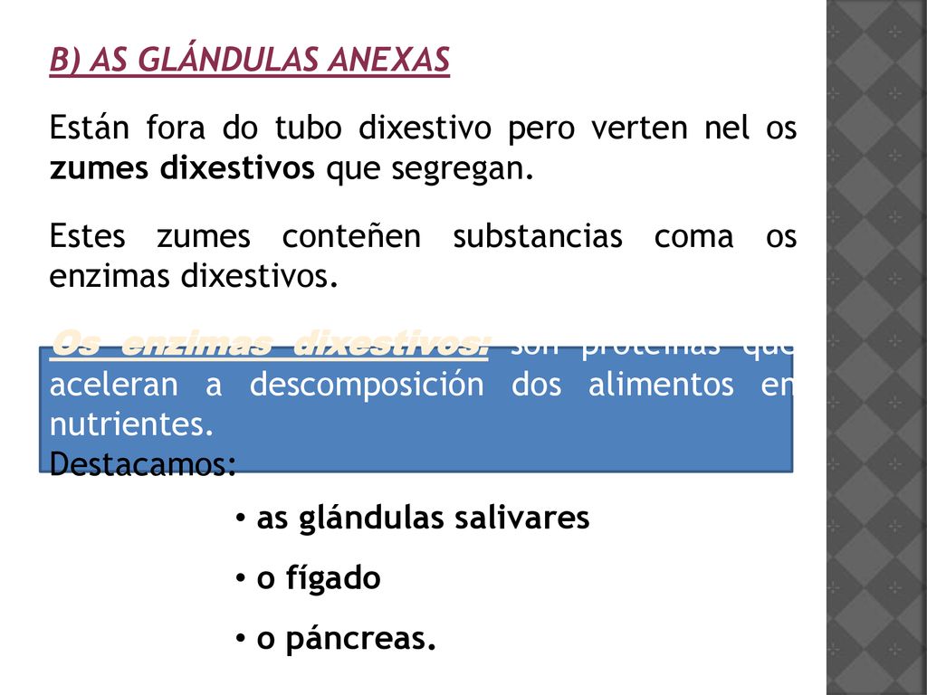 B) AS GLÁNDULAS ANEXAS Están fora do tubo dixestivo pero verten nel os zumes dixestivos que segregan.