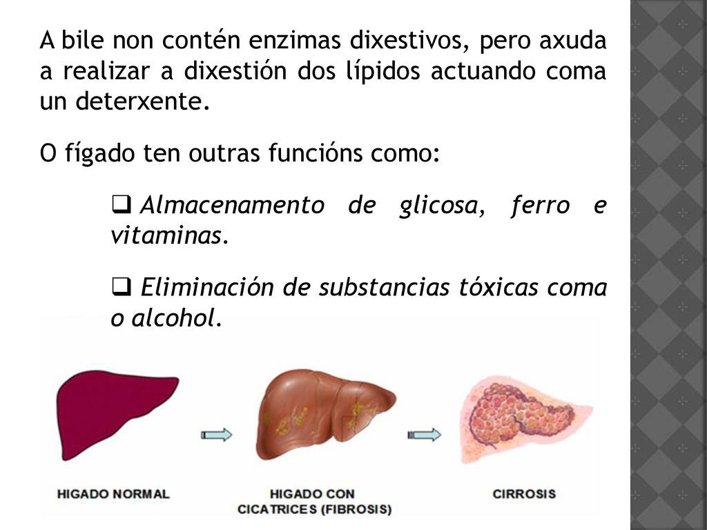 A bile non contén enzimas dixestivos, pero axuda a realizar a dixestión dos lípidos actuando coma un deterxente.