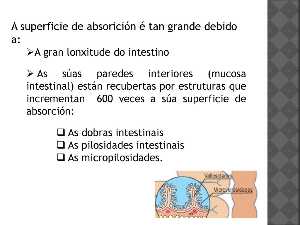 A superficie de absorición é tan grande debido a: