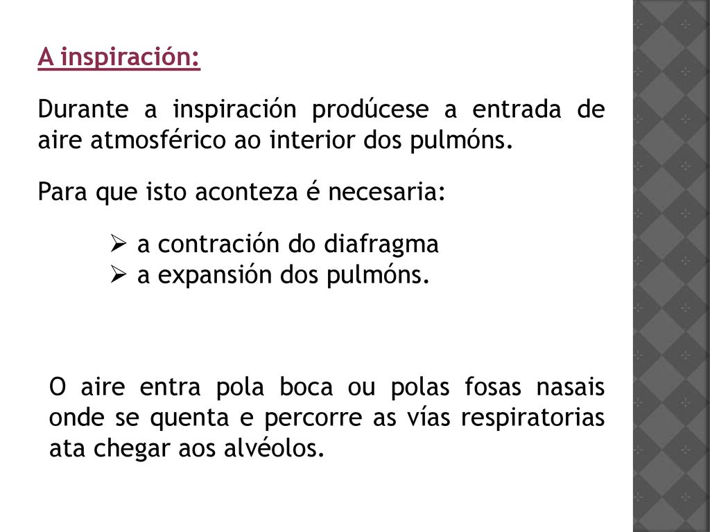 A inspiración: Durante a inspiración prodúcese a entrada de aire atmosférico ao interior dos pulmóns.